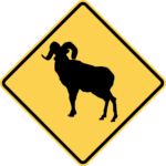 Bighorn Sheep Crossing / W11-18