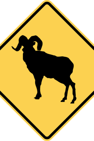 Bighorn Sheep Crossing / W11-18