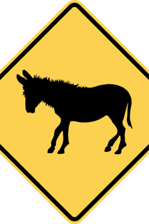 Donkey Crossing / W11-19