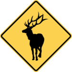 Elk Crossing / W11-20