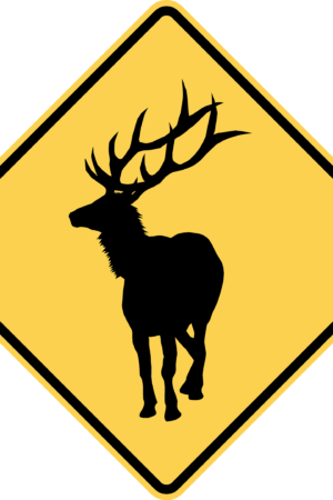Elk Crossing / W11-20