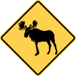 Moose Crossing / W11-21