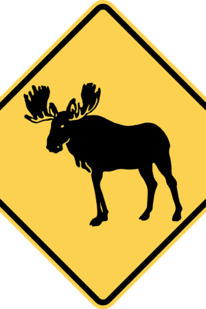 Moose Crossing / W11-21