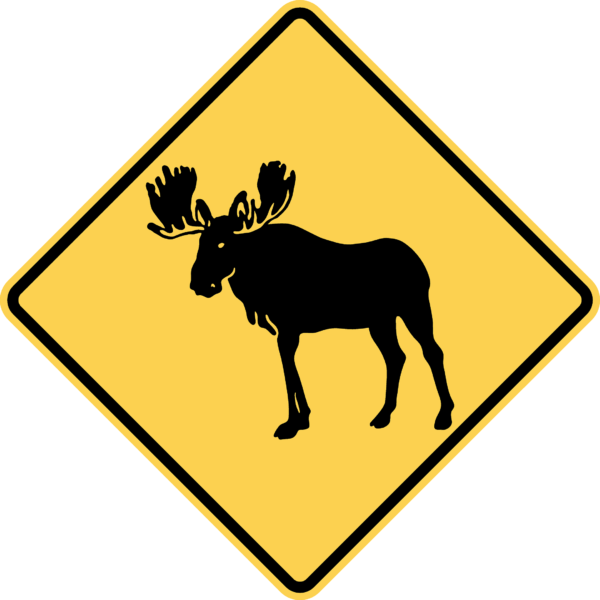 Moose Crossing / W11-21