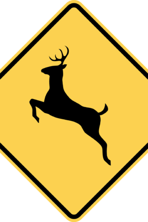 Deer Crossing / W11-3