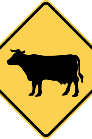 Cattle Crossing / W11-4