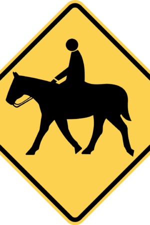 Equestrian Crossing / W11-7